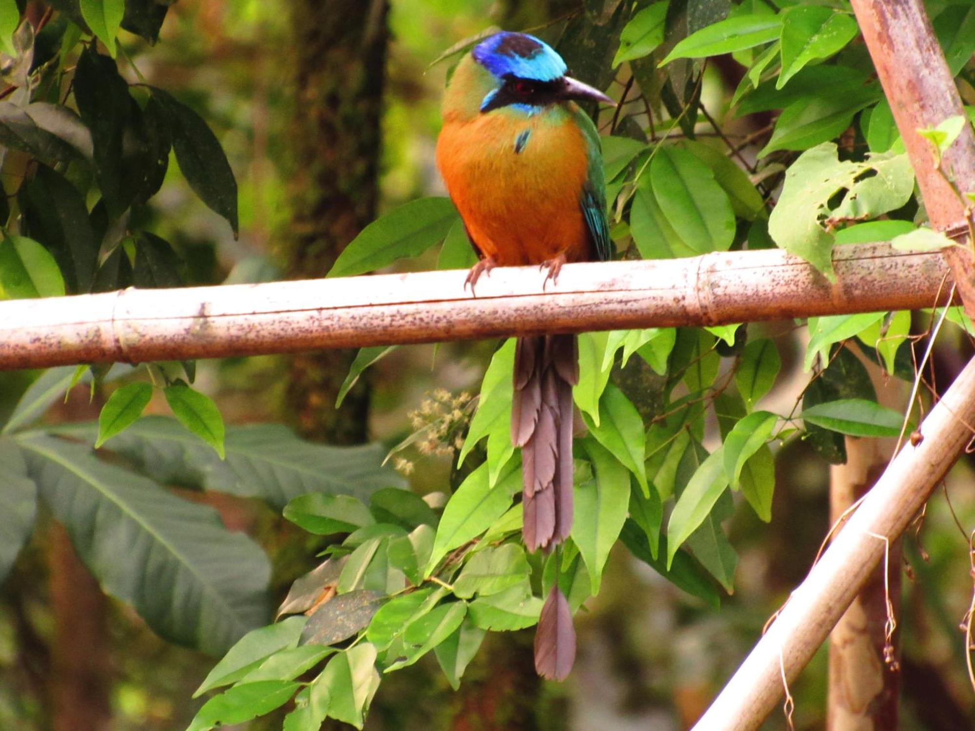 Cantos Da Mata Chapada dos Guimaraes Ngoại thất bức ảnh