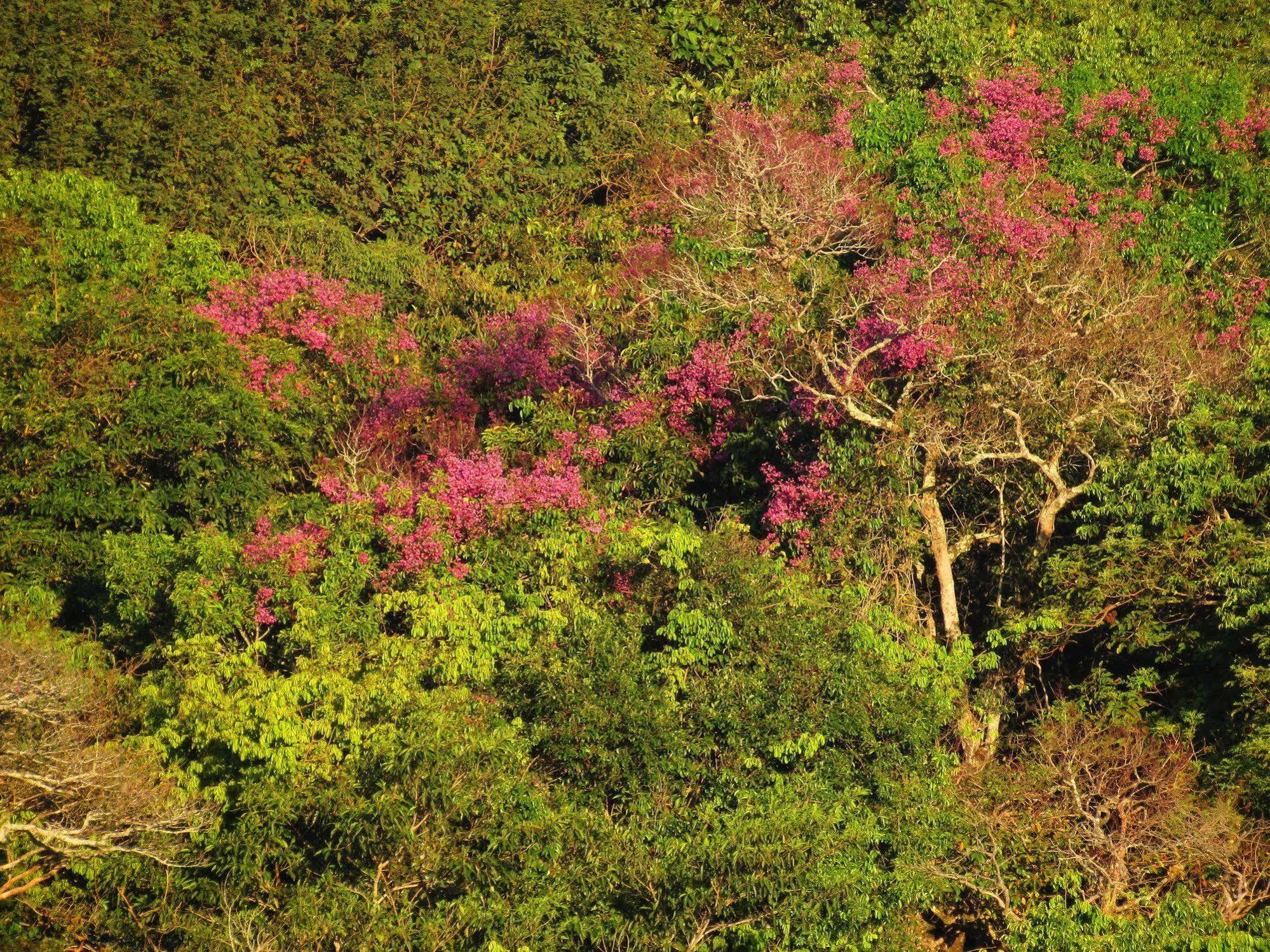 Cantos Da Mata Chapada dos Guimaraes Ngoại thất bức ảnh